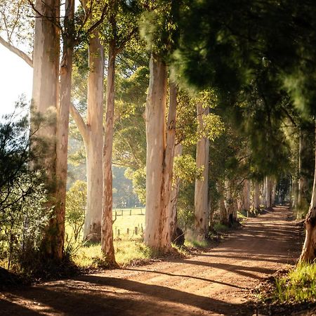 Karrak Reach Forest Retreat Denmark Luaran gambar