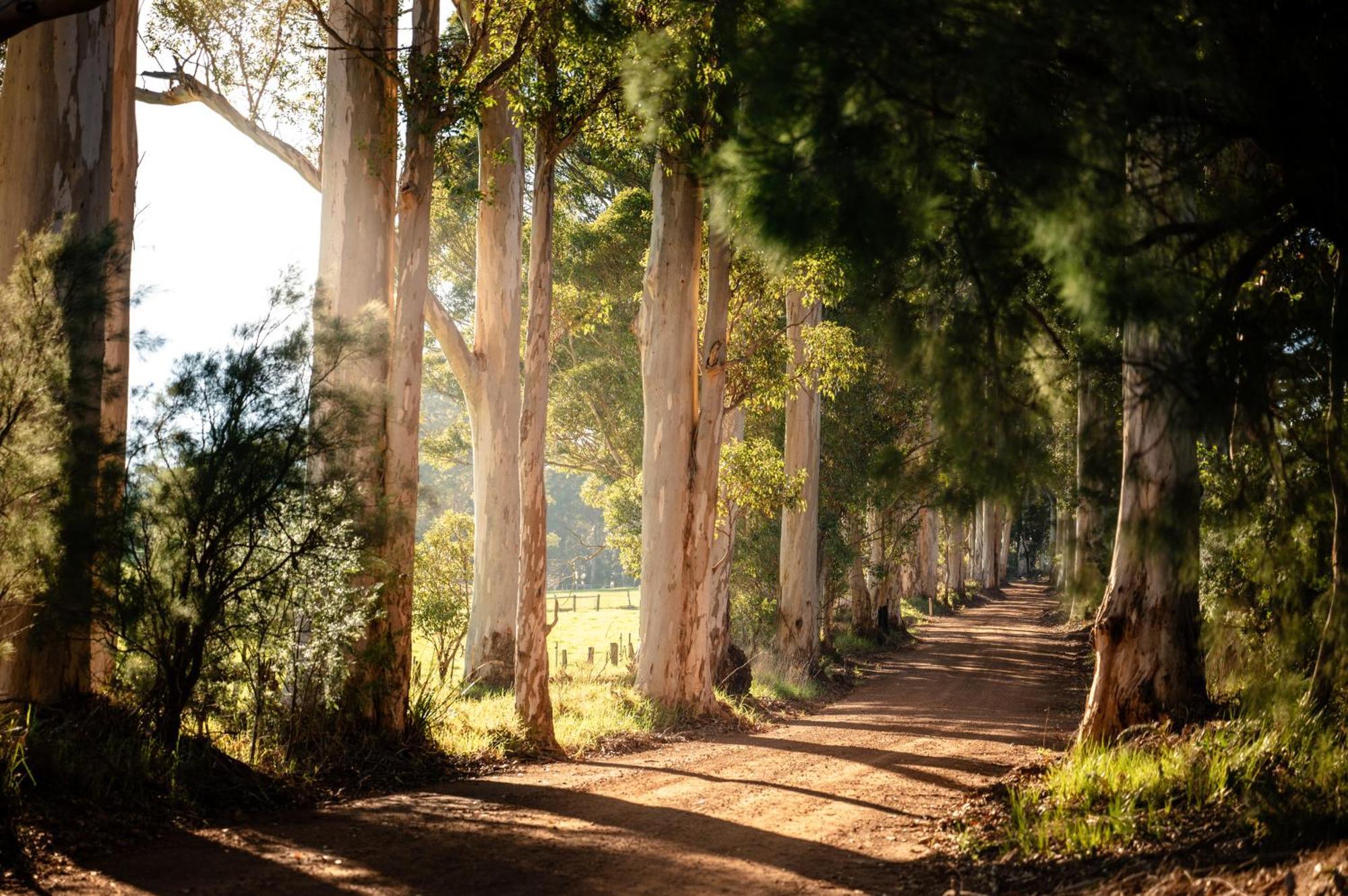 Karrak Reach Forest Retreat Denmark Luaran gambar