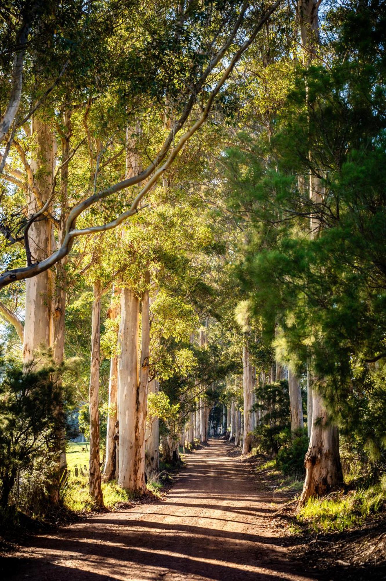 Karrak Reach Forest Retreat Denmark Luaran gambar